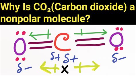 Why Is Carbon Dioxide Co2 A Nonpolar Molecule Youtube