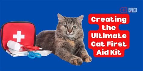 Creating The Ultimate Cat First Aid Kit Tips And Essentials For Every