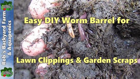 How To Make A Worm Farm Easy As Worm Barrel For Lawn Clippings