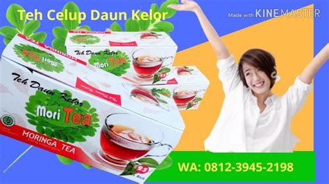 Walaupun secara kasat mata daun ini memiliki warna yang berbeda tetapi kandungan dan khasiatnya sama saja. 0812-3945-2198 daun kelor dan Khasiatnya, daun kelor untuk ...