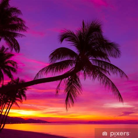 Palm Tree Silhouette At Sunset On Tropical Beach Wall Mural • Pixers