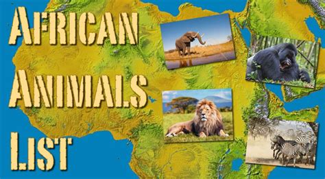 African Animals List With Pictures Facts Information And Worksheet