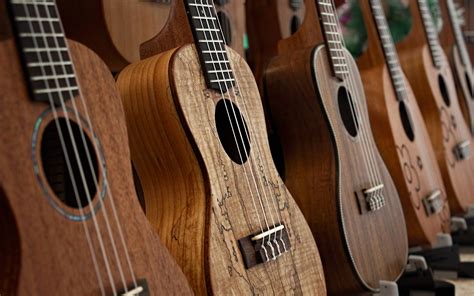 What Ukulele Sizes Are There Complete Guide To The Standard Sizes