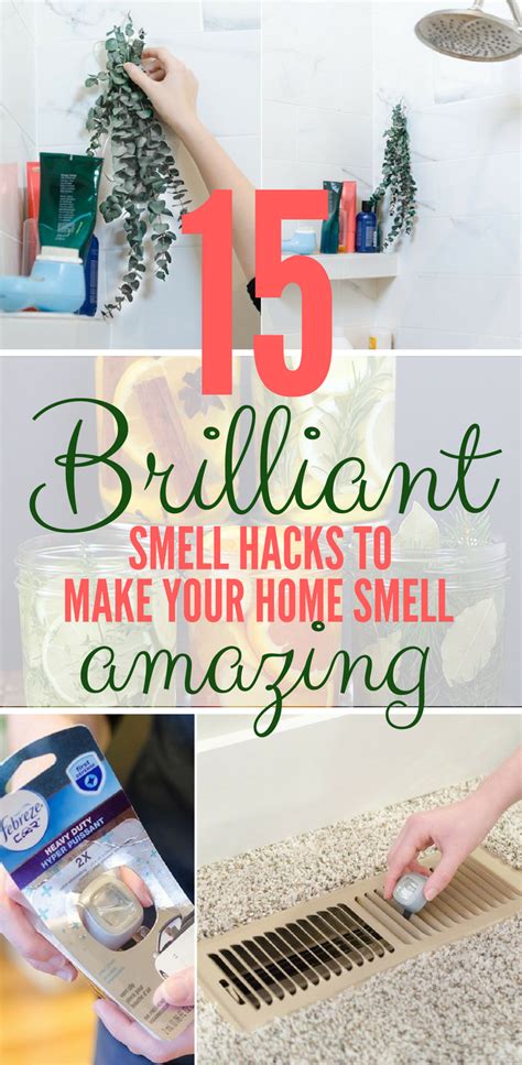 15 Brilliant Smell Hacks To Make Your Home Smell Like Heaven On Earth