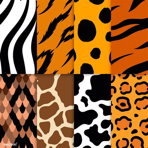 Stylish Animal Print Patterns