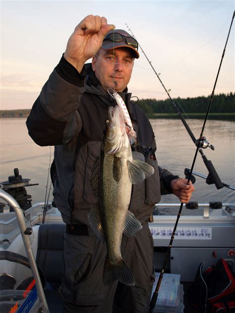 Lake Saimaa Fishing Travels Pike Perch Season Was Started
