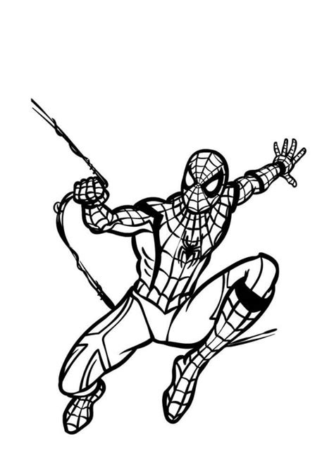 Hombre Araña Basico para colorear imprimir e dibujar ColoringOnly Com