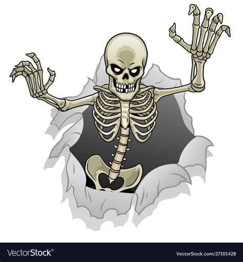 Cartoon Skeleton Character Out From Broken Vector Image