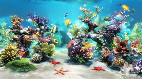 50 Best Aquarium Backgrounds to Download & Print Free & Premium 