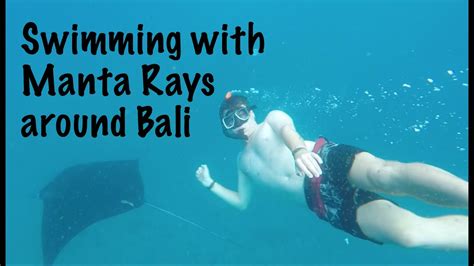 Swimming With Manta Rays Near Bali And The Most Beautiful Beach Bali Nusa Penida Indonesia