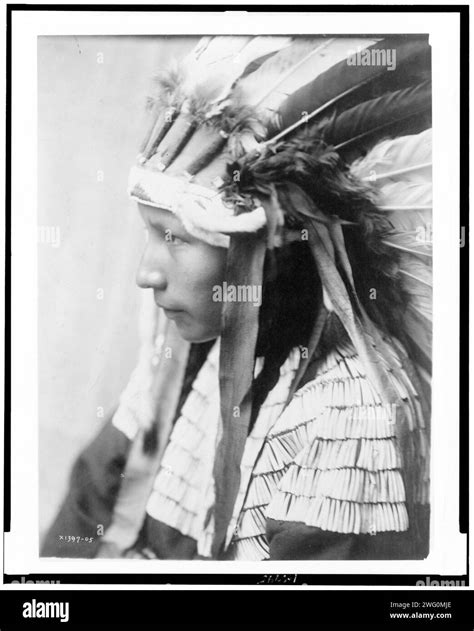 The Daughter Of Bad Horses Profile C1905 Cheyenne Girl Head And