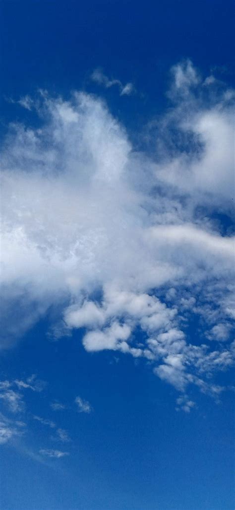 Gambar Langit Biru Cerah Charles Lambert