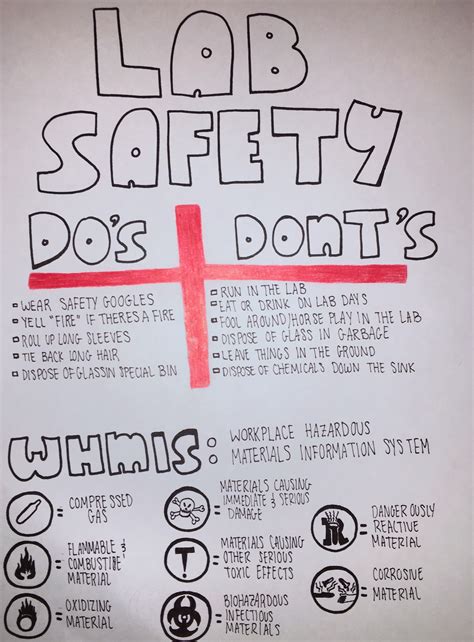 Science Lab Safety Poster Maddy S Blog