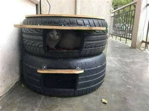 Working with local rescue groups the plans were conceived and implemented. Outdoor cat shelters made from tires.. | Outdoor cat ...