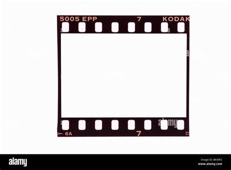 35mm Film Strip Frame Cut Out Stock Photo Royalty Free Image 29093878