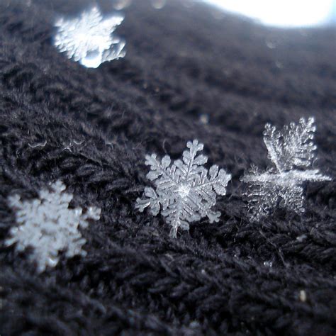 Absolutely Beautiful Little Snowflakes When It Snowed At The Weekend
