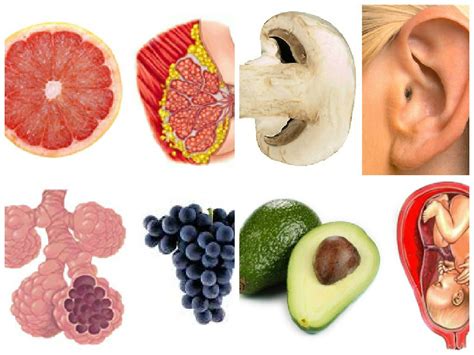15 élelmiszer, melyek nemcsak hasonlítanak az emberi test szerveire ...