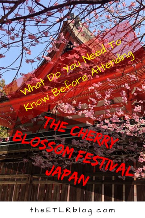 The Cherry Blossom Festival In Japan Everything You Need To Know