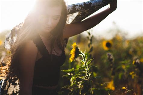 Sunflowers Drew Osumi Flickr