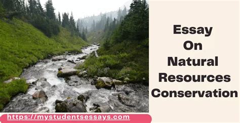 Essay On Conservation Of Natural Resources Importance Methods