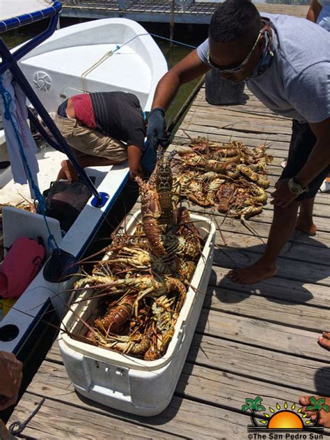 Lobster Season Officially Opens Fishermen At Odds With