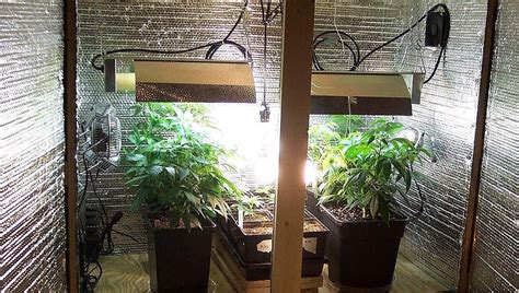 Weed Grow Room How To Build Your Cannabis Indoor Grow Room Fast Buds