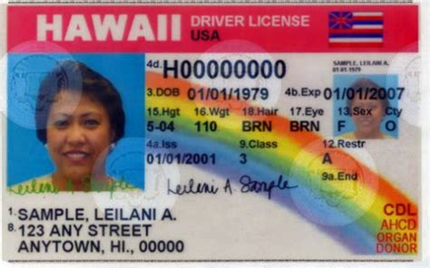 Hawaii Drivers License Permit Number Dynamicslasopa