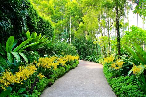 Fondos De Escritorio De Singapur Jardines Botánicos Senderos Hd