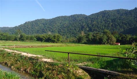 Seremban, port dickson, jelebu, kuala pilah, rembau. Lari dari hiruk pikuk, cari makan tepi sawah di Kuala ...