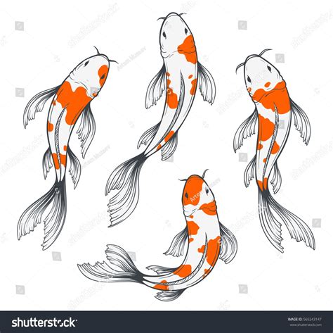 Set Of Four Traditional Japanese Koi Fishes Top View Simple Sketch