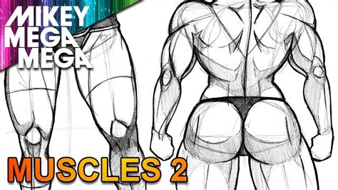 Image of how to draw an anime body with pictures wikihow. How To Draw MUSCLE BACK & LEGS - YouTube