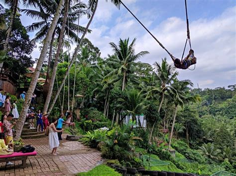 Bali Swing Ubud Top Attraction And Entrance Fee Idetrips