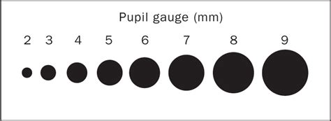 Pupil Gauge Chart