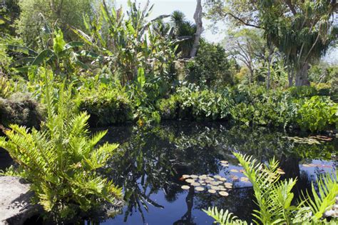 Pond And Vegetation Clippix Etc Educational Photos For Students And