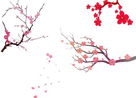 Cherry Blossom Tree Png Japan Tree Sakura Cherry Blossom Tree Png