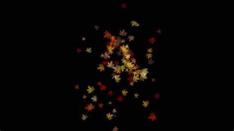 4k Maple Leafs Falling And Flare Lightmaple Leaves Autumn Fall Romantic