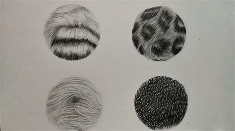 How To Draw Realistic Fur Animal Fur Drawing Beginner Tutorial