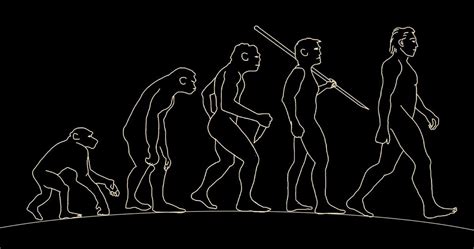 O Que é O Evolucionismo Entenda O Significado E A Definição