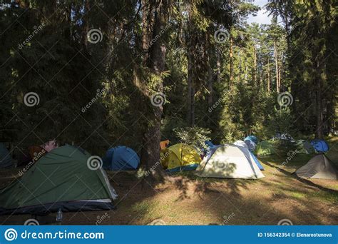 Campground In Forest On The Lake Colorful Tents In Nature Camping