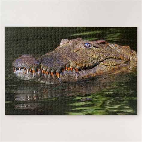 Alligator Jigsaw Puzzle