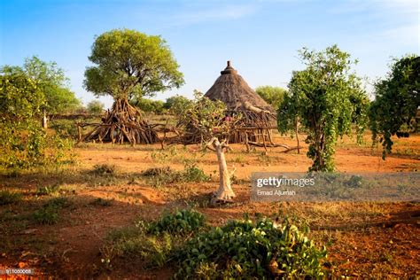 Hamar Tribe Village Turmi Ethiopia December 12 2017 Photo Getty Images