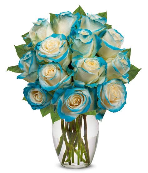 One Dozen Aquamarine Roses At From You Flowers
