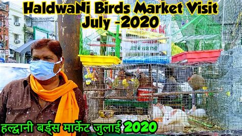 Haldwani Birds Market Visit July 2020 Ub Youtube
