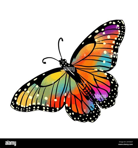 La mariposa abstracta es multicolor Ilustración vectorial Imagen