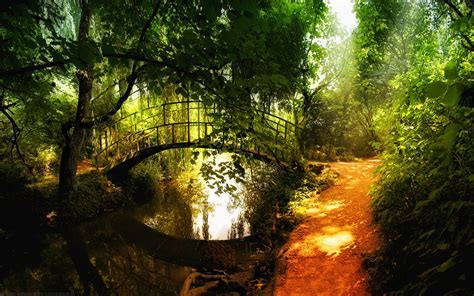 Bridge Over Forest River Wallpapers And Images Wallpapers Pictures