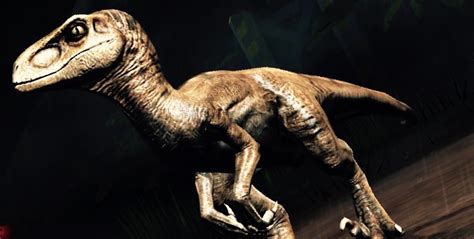 Jurassic World The Game Velociraptor Level 10 By Stevebomer24 On