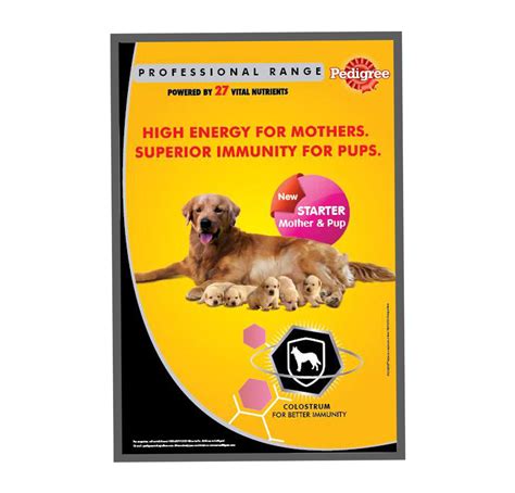 Keep your pooch happy and healthy with our fab new range for dogs! Pedigree Dog Food Puppy Starter Mother & Pup - 10 Kg