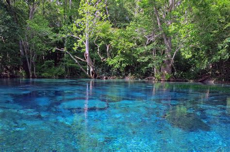 Cypress Springs Floridas Pristine Hidden Spring Unusual Places