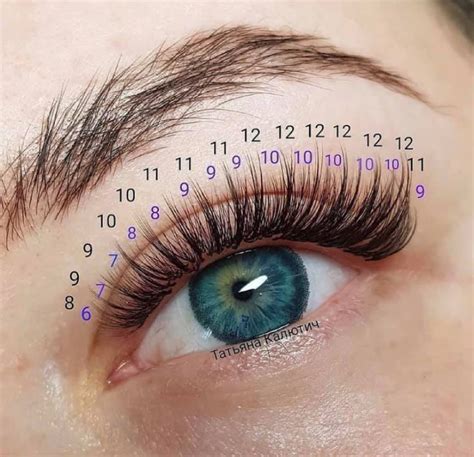 hybrid lash mapping guide sweet eyelashes