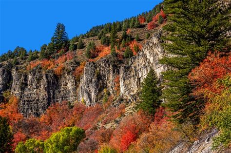 Logan Canyon One Of The Best Scenic Drives In Utah